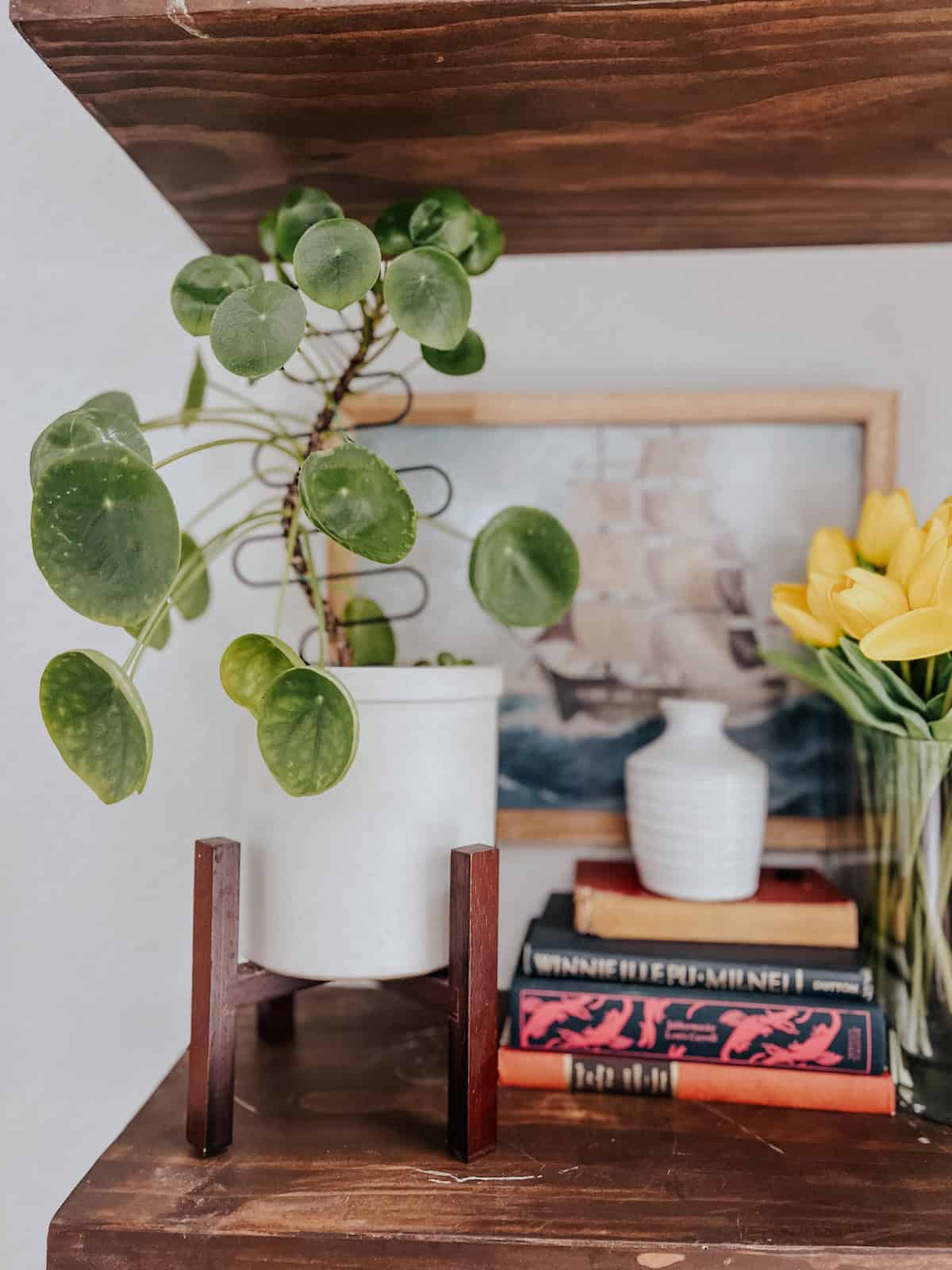 Mini Indoor Plant Trellises for Small Plants