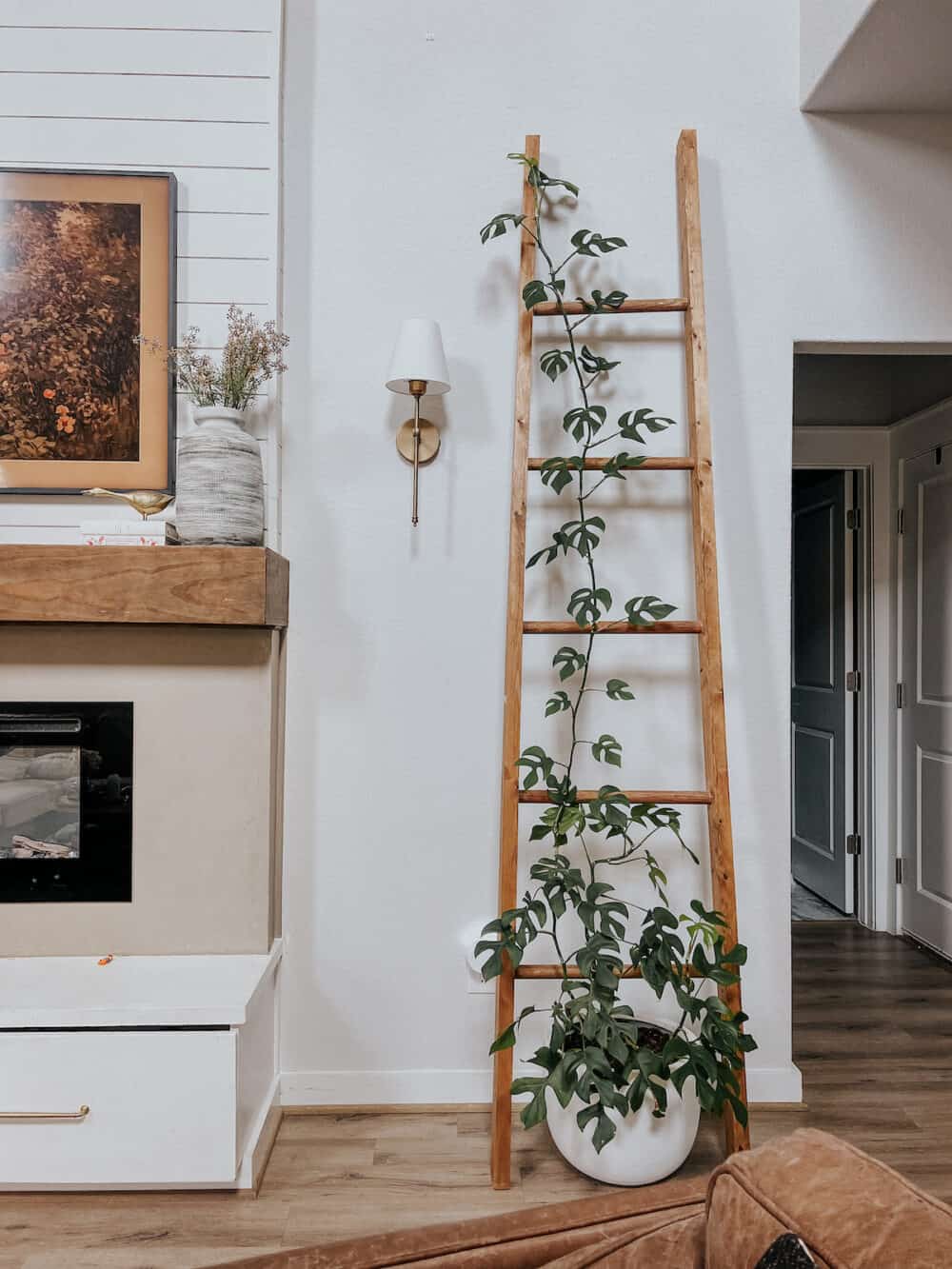 a living room with a tall Rhaphidophora Tetrasperma 