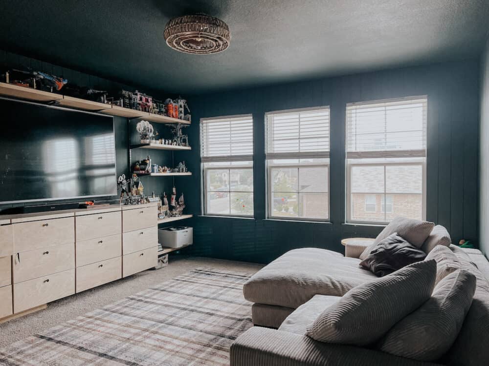 a family room with a caged ceiling fan