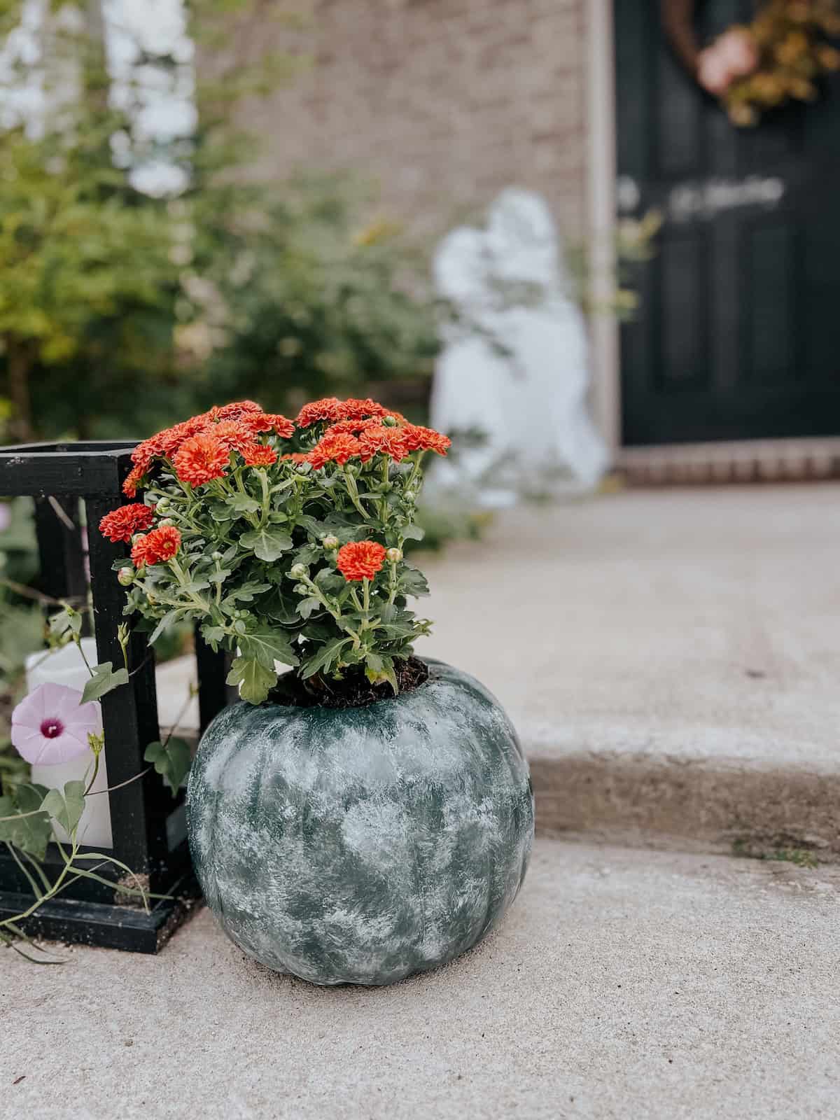 Easy DIY Pumpkin Planters