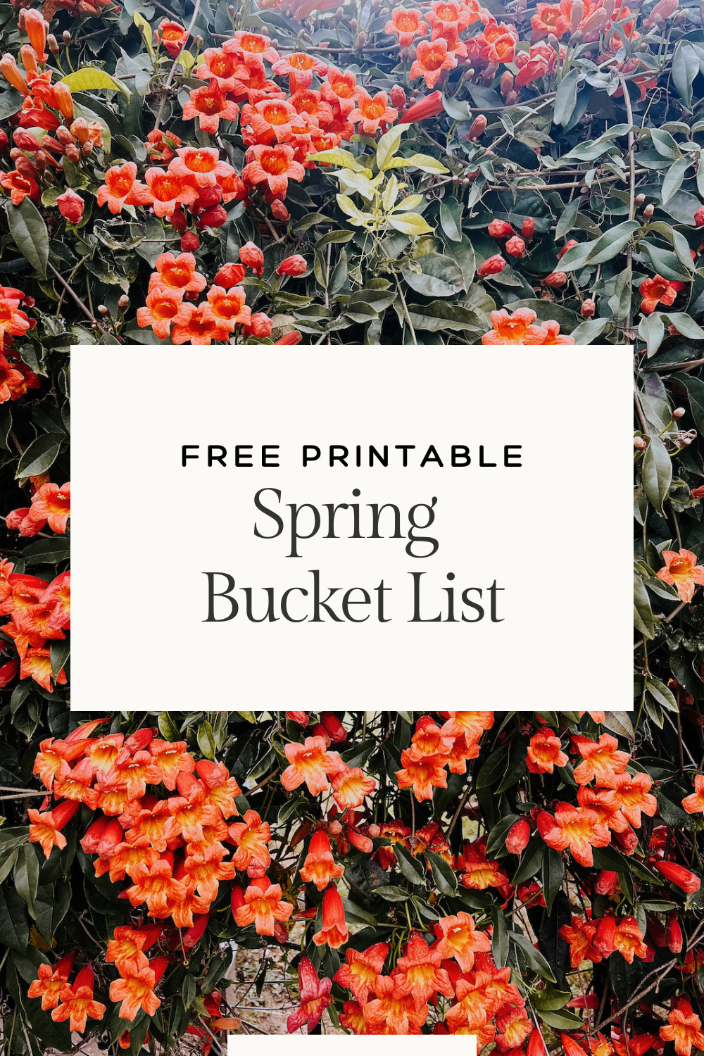 Pinterest Spring Watch List 100 Ideas For Your Spring Bucket List β Love & Renovations