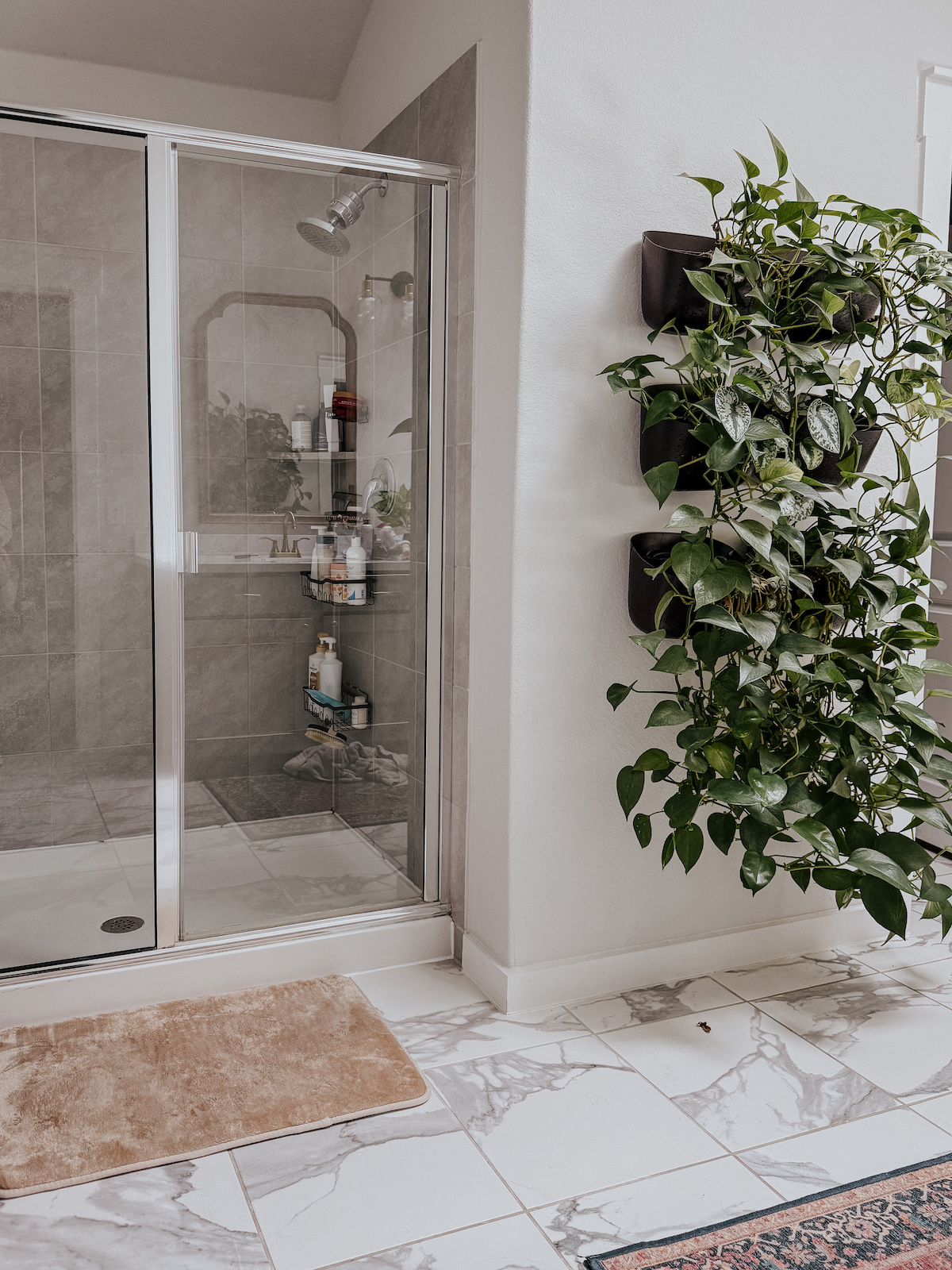 How to Clean Glass Shower Doors
