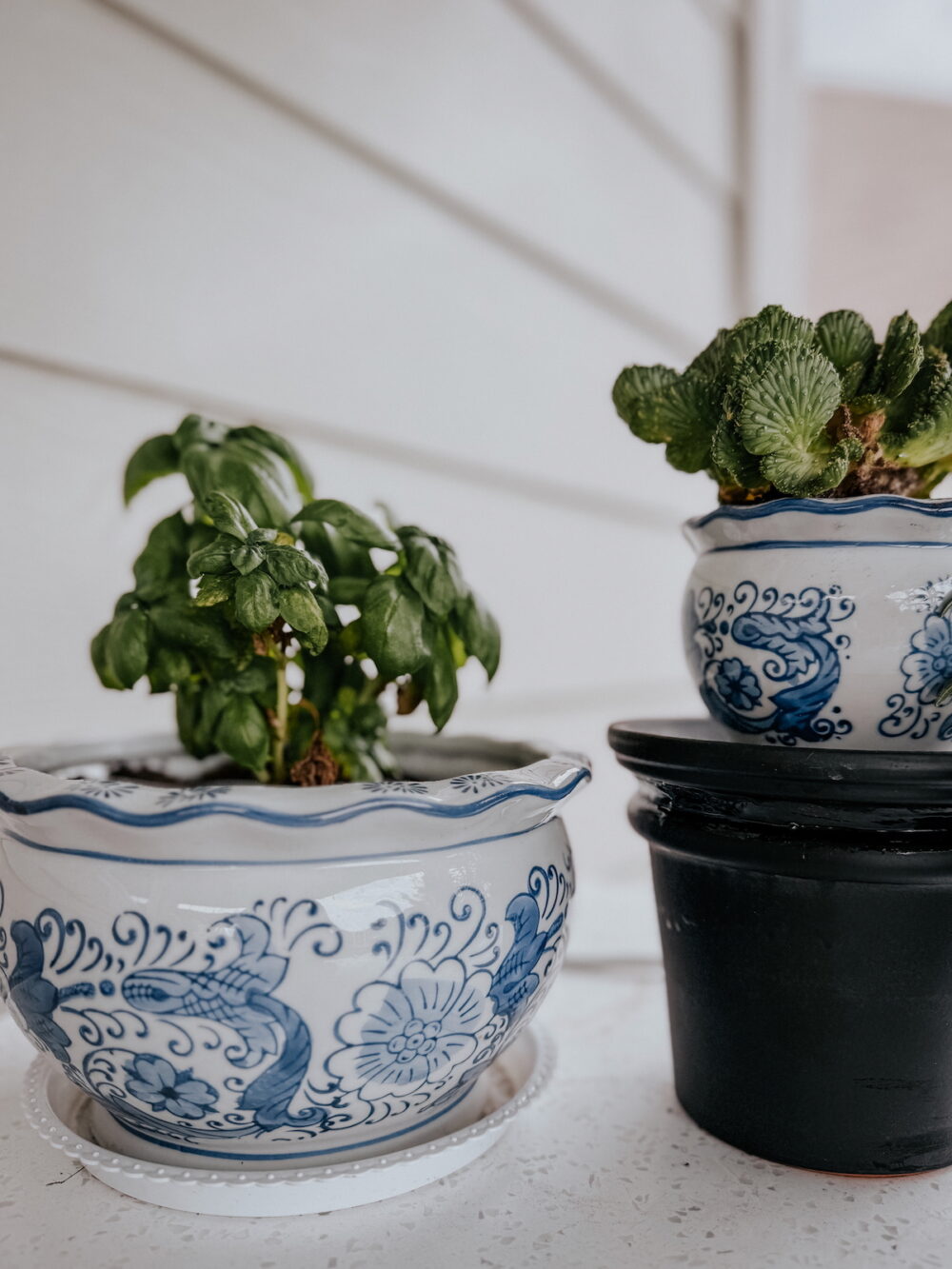a really simple raised plant stand 