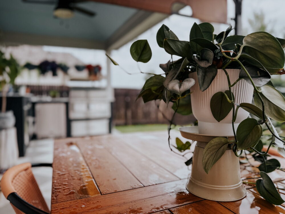 close up of DIY plant stand made from a planter and a saucer