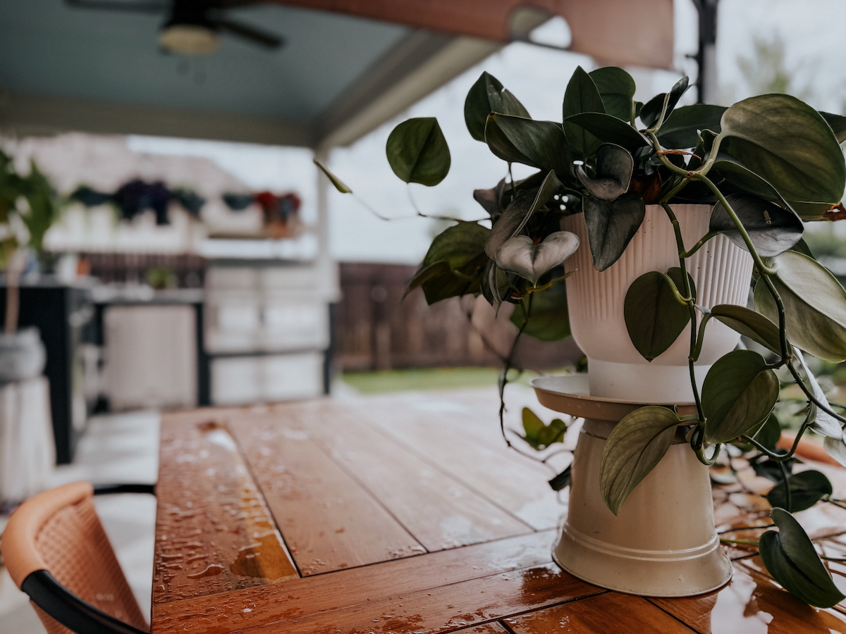 3 Super Easy DIY Plant Stand Ideas