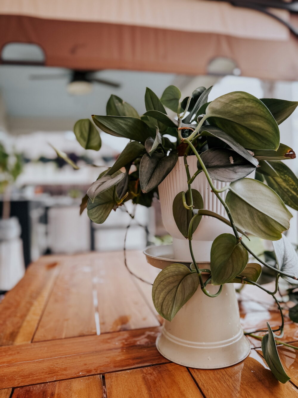 DIY plant stand made from a planter and saucer
