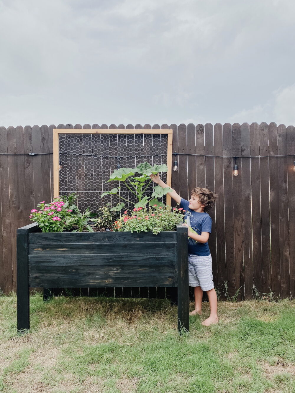 young boy touching a plant in a raised garden bed