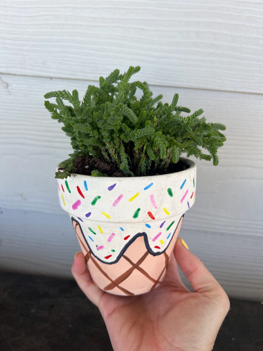 painted terra cotta flower pot