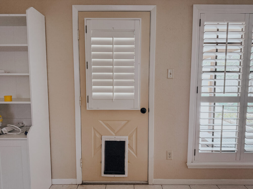 pet door in a paneled back door 