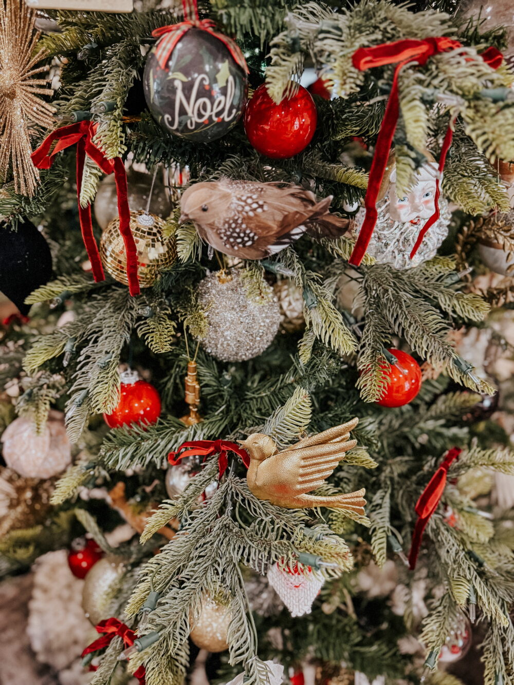 close up of Christmas tree