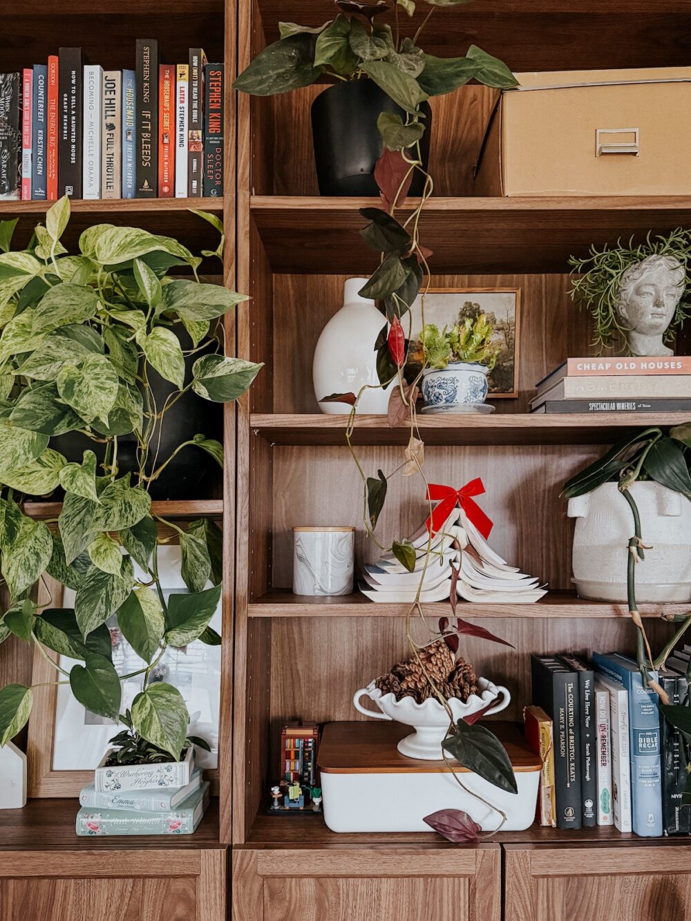 close up of bookshelves decorated for Chrsitmas
