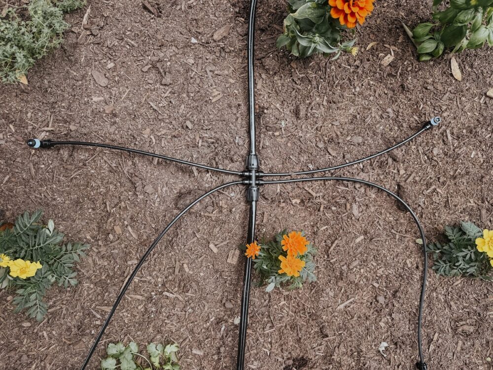 overhead view of a drip irrigation line in a raised garden bed