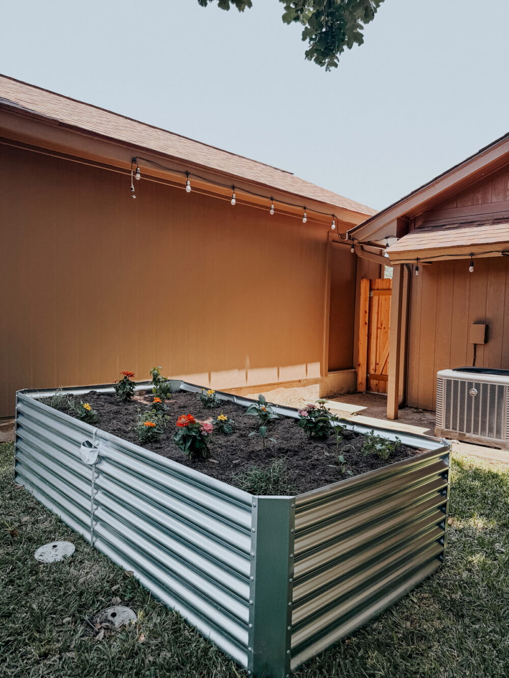 metal raised garden bed with flowers and herbs planted