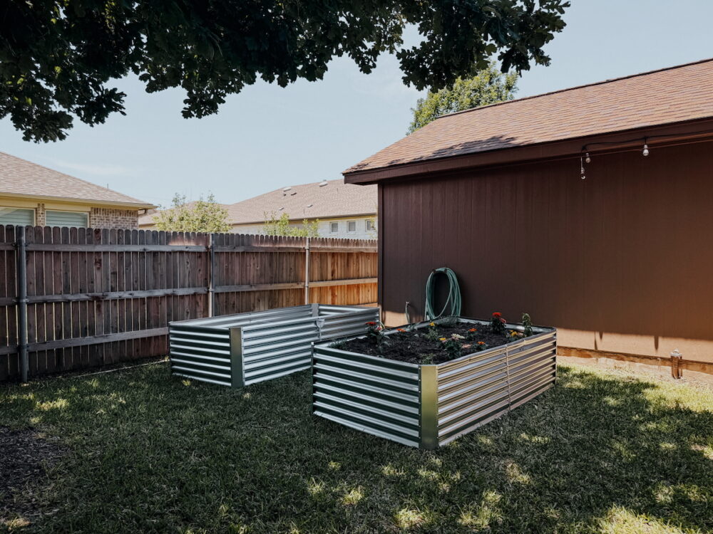 backyard garden with two raised garden beds, one filled and one empty