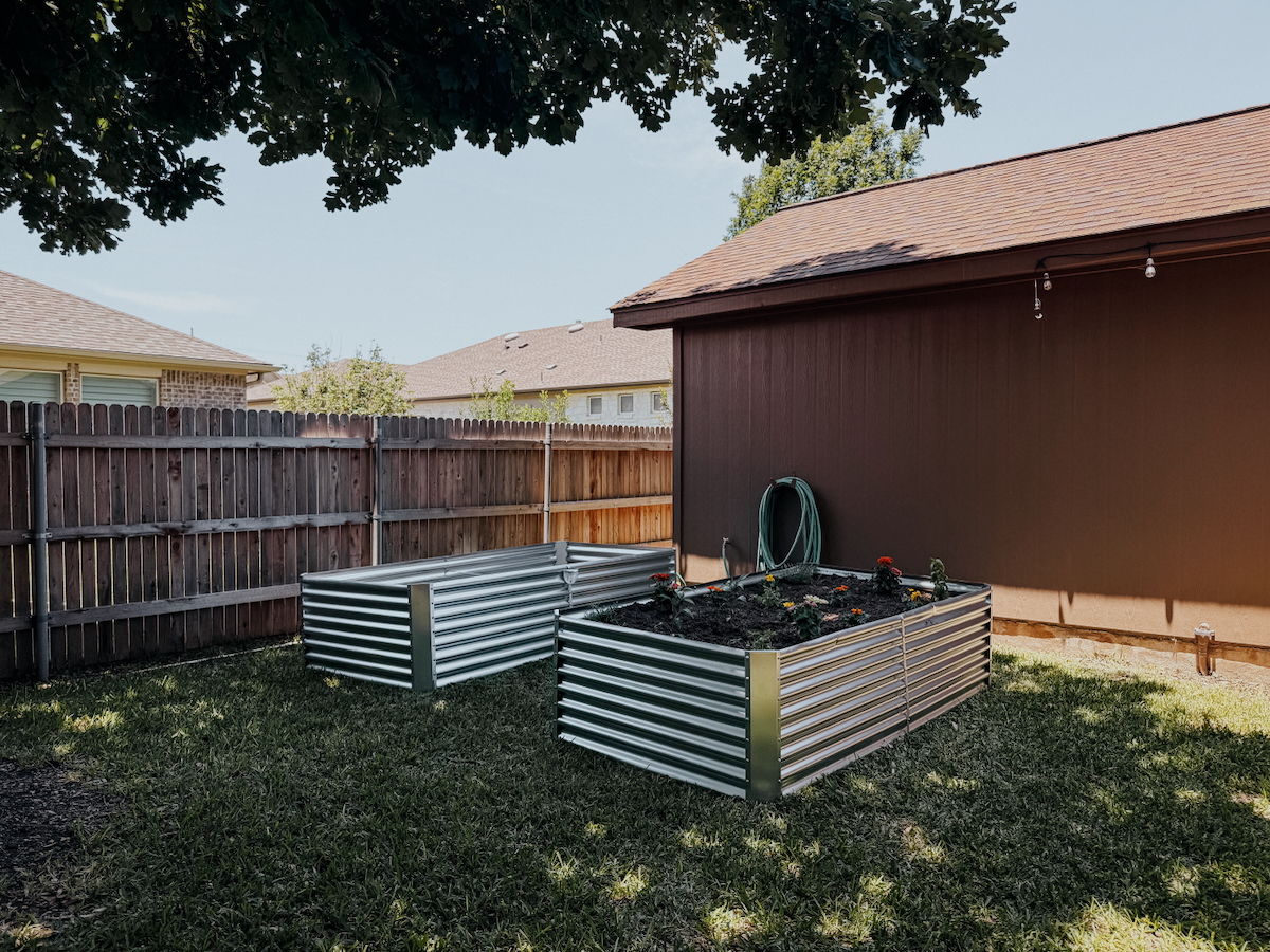 How to Fill a Raised Garden Bed WITHOUT Breaking the Bank