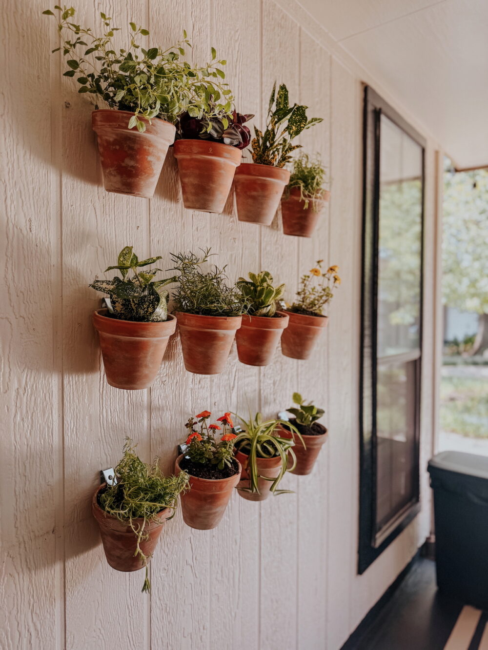 close up of patio plant wall