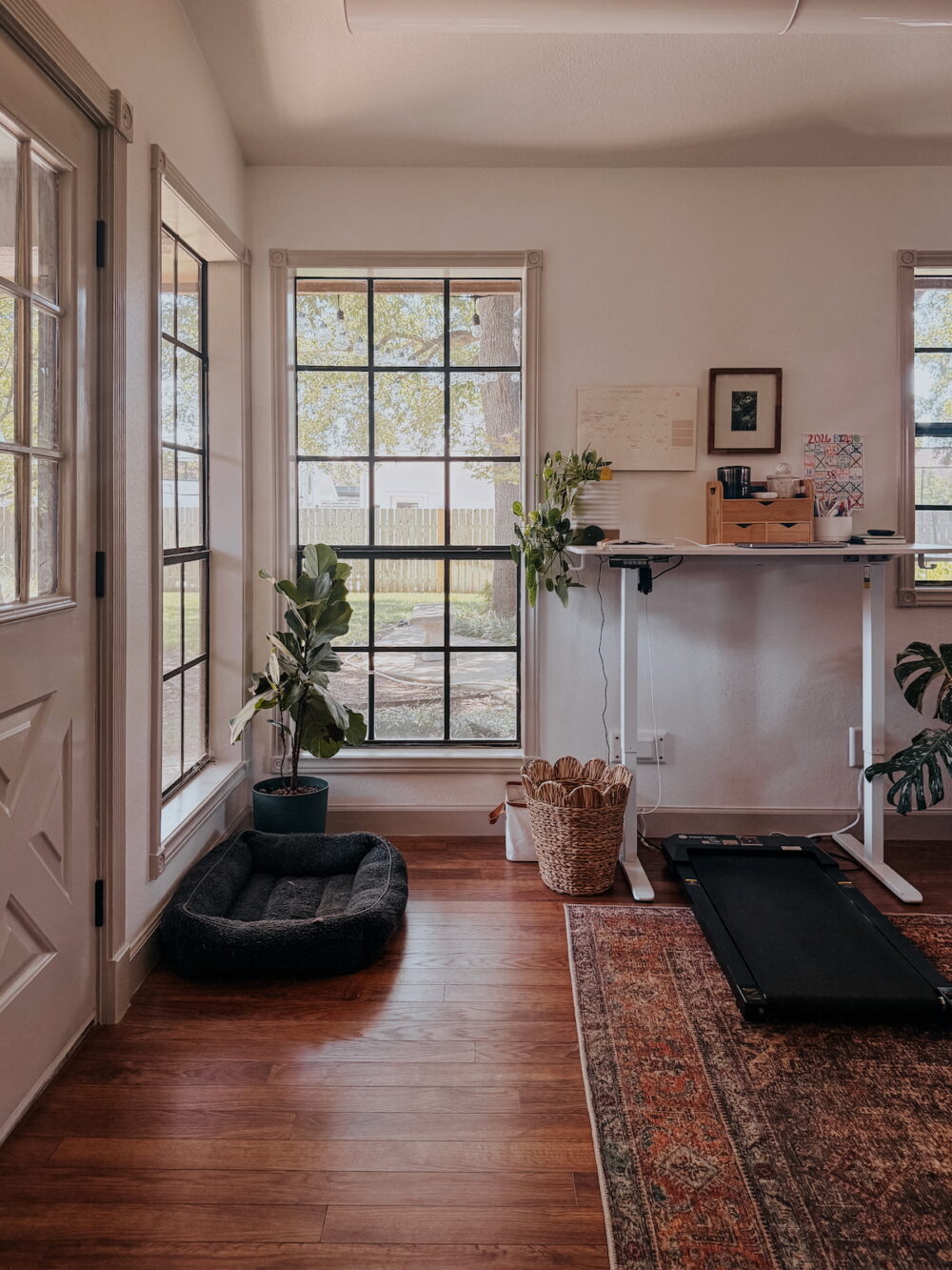 office space with large windows and a sit/stand desk