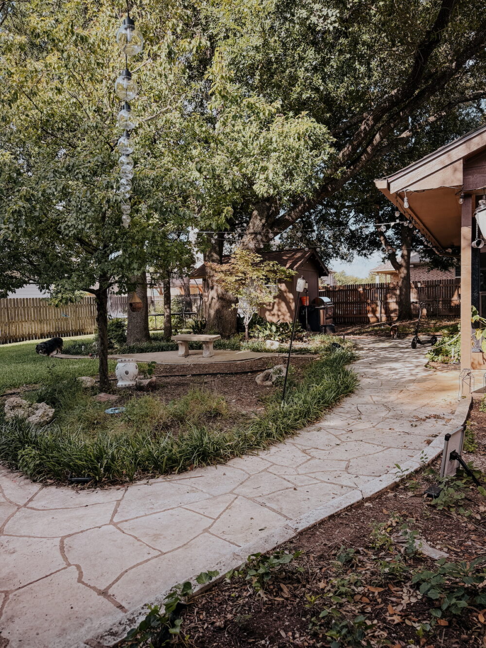large, shaded backyard