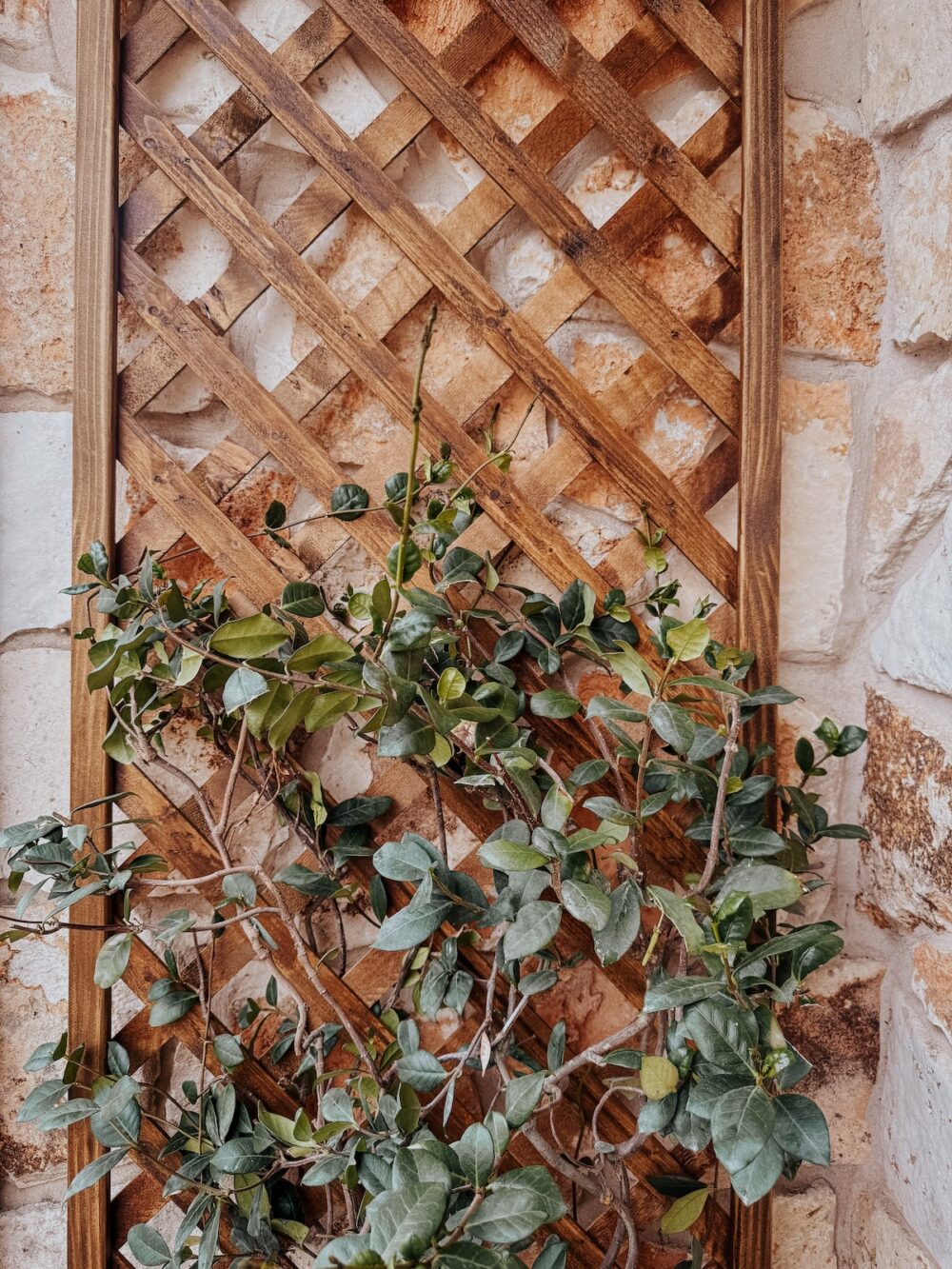close up of diy lattice trellis
